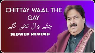 CHITTY WAAL THI GAYE  SHAFAULLAH ROKHRI  SARAIKI SONGS SLOWED REVERB [upl. by Boonie596]