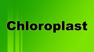 Chloroplast Definition and Function [upl. by Anawit]