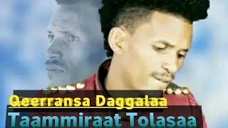 Taammiraat Tolasaa New Ethiopian Oromo music 2024❤️❤️❤️💯🤙 [upl. by Aehc825]