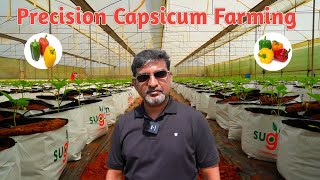 Capsicum Farming in a Grow Bag  Poly House Farming  Precision Farming  Measuring ECPH  Gro Tron [upl. by Arihat877]