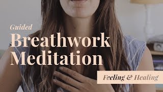 Guided Breathwork Meditation [upl. by Rhona]