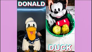 1 HOUR DONALDDUCC TikTok Compilation 1  Funny Reactions Donaldducc 2024 [upl. by Anderegg]