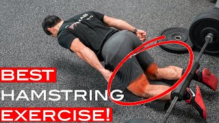 Master The Nordic Hamstring Curl to Improve Your Hamstring Strength [upl. by Ennayehc]