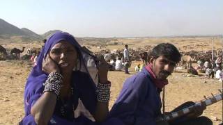 Pushkar Rajasthan  Gypsy  Bopa  Singers at Pushkar Camel Fair Papu and her husband [upl. by Zandt574]