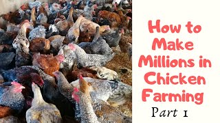 How To Make Millions In Poultry Farming Eggs And Meat Mamas Kienyeji Kuku Success Story Part 1 [upl. by Denton]