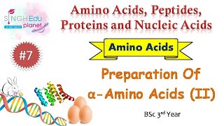 Preparation of Amino Acids ContinuedAmino Acids BSc 6th SemesterPart 7 Organic Chemistry [upl. by Straus583]