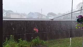 Hail and heavy rain in a thunderstorm Hornell NY 9212024 [upl. by Sixele]