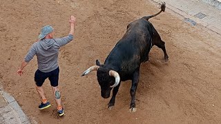 Festejos Taurinos en Meliana 2024 2 Toros de Lora Sangran y Albaserrada Penya Bou 80 [upl. by Rosenkranz819]