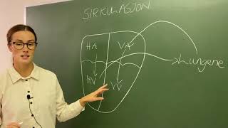 Hjertets sirkulasjon  lett og forståelig innføring [upl. by Arhat965]