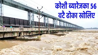 Koshi Barrage Flood कोशी ब्यारेजका ५६ वटै ढोका खोलिए [upl. by Eserehc]