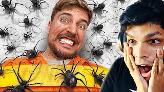 100 SPIDERS vs MAN scary challenge [upl. by Thay]