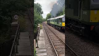 D5054 seen departing eridge with some brilliant sounds [upl. by Dot]