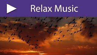 3 HOURS Easy Listening Music to Free Your Mind from Worries and Breathe Deeply [upl. by Henriques248]