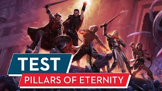 Pillars Of Eternity Auch auf der Konsole ein RollenspielHit VideoTest [upl. by Meredithe443]