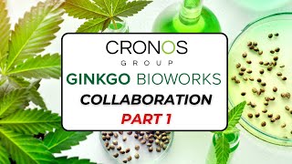 How have Ginkgo Bioworks helped Cronos Group develop never before seen products Part 1 [upl. by Oir]