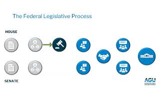 From Bill to Law The US Legislative Process [upl. by Anikas]