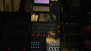 Blast Beats twistedelectrons blastbeats fmsynthesis sounddesign ebm industrialmusic idm [upl. by Enaled266]