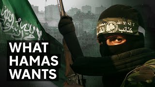 Israel Palestine and Hamas explained in two minutes [upl. by Enelehcim]