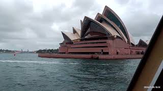 Circular Quay to Mosman Bay by Ferry ⛴️ [upl. by Orecul24]