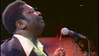 BB King  I Like To Live The Love  Live in Africa 1974 [upl. by Esenahs]