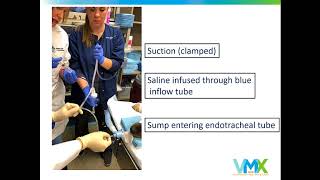 VMX 2018 Blind Bronchoalveolar Lavage Fast and Simple [upl. by Basham]