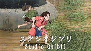 Studio Ghibli Music Relaxing Harp Hayao Miyazaki Collection🍅Inspirational Ghibli Piano Music [upl. by Jeminah569]