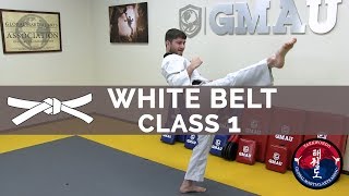 Taekwondo Follow Along Class  White Belt  Class 1 [upl. by Danita]