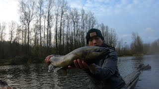 Metzler Park Chum Fishing Back to Back river washingtonstate fishingbobber centerpinfishing [upl. by Clein]