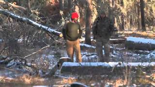 Trophy Quest Hunts Whitetail in Saskatchewan Canada With Iron Sight 3030 [upl. by Abbye]