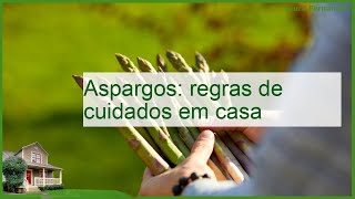 Aspargos cultivo cuidados propagação pragas presságios [upl. by Naivatco]