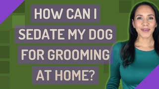 How can I sedate my dog for grooming at home [upl. by Steep]