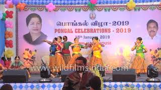 Kolattam dance performance at Pongal Celebrations in Tamil Nadu House [upl. by Pisano632]