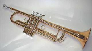 Ave Maria Schubert for Trumpet [upl. by Elatan852]