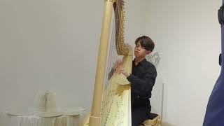 F Godefroid Etude de Concert for Harp in e flat minor Op 193 [upl. by Sachiko881]