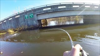 I Found the BEST SPOT Incredible Pike Fishing [upl. by Cressi437]