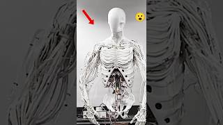 The Incredible Future of Movement Robotics 😲viral [upl. by Yniar191]