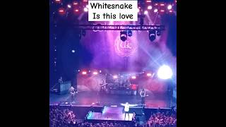 whitesnake Is this love dublin singer whitesnake liverock rock rocknroll [upl. by Brenton]