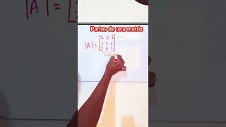 Partes de la Matriz shorts maths [upl. by Eisned]