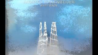 cartridge VAN DEN HUL Andreas Vollenweider  White Winds  FULL ALBUM [upl. by Lovmilla]