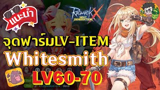 Ragnarok X Next Generation แนะนำจุดฟาร์ม LV amp Item สำหรับสายอาชีพ พ่อค้า WhiteSmith LV 6070 ROX [upl. by Wieren]