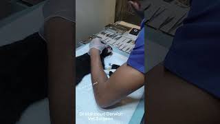 Gingival and dental examination before surgery drmahmouddarwish دكتورمحموددرويش [upl. by Kellia]