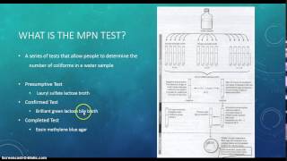 LSU Biol 2051  Microbiology Lab  Most Probable Number Technique for Fecal Coliform Detection [upl. by Halda]