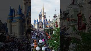 Magic Kingdom Halloween Views [upl. by Ellehsram518]