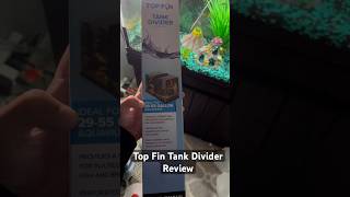 Top Fin Tank Divider Review topfinds fishtank aquarium guppyfry guppy shorts [upl. by Rikki]