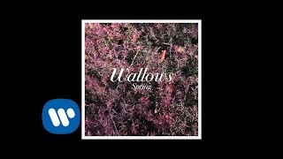 Wallows  Ground Official Audio [upl. by Airetak982]