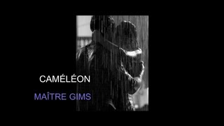 CAMÉLÉON MAÎTRE GIMS LYRICS AND SUB ESPAÑOL [upl. by Ignace70]