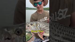 Goliath Tigerfish  The Scariest River Monster [upl. by Ronym]