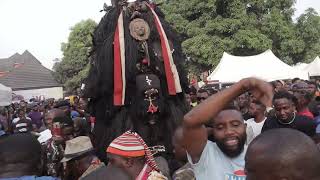 Masquerades of Anaedo  The Mighty Ajofia at Ofala 2023 [upl. by Acnayb]