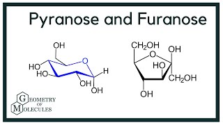 What is the Difference Between Pyranose and Furanose [upl. by Florenza]