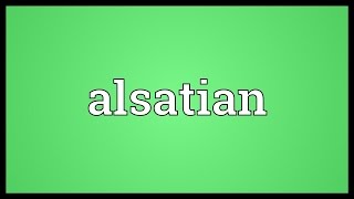 Alsatian Meaning [upl. by Yekcaj122]